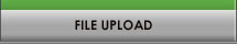 File Upload